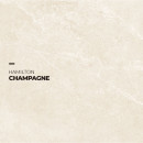 HAMILTON CHAMPAGNE - 1